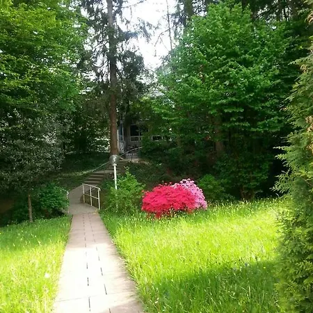 Apartment Near Villa Turgenev Baden-Baden Exterior photo