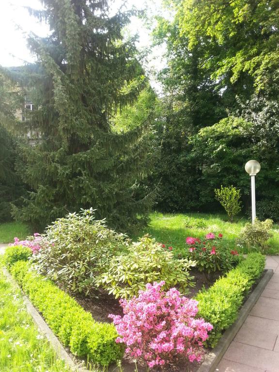 Near Turgenev *