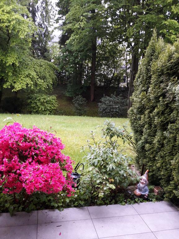 Apartment Near Villa Turgenev Apartment Baden-Baden