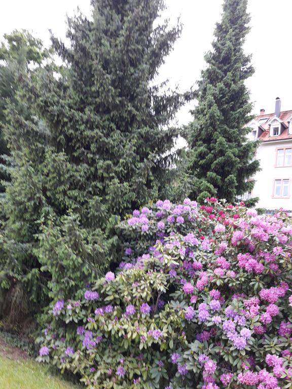 Apartment Near Turgenev