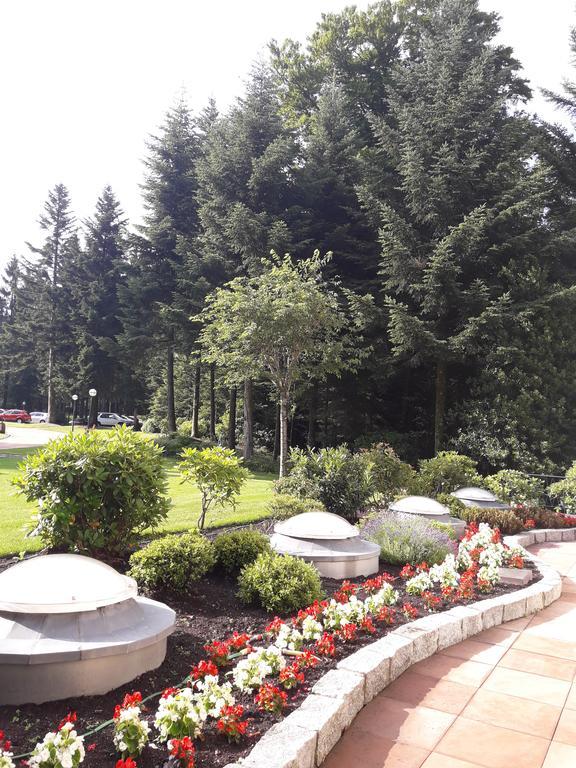 Near Turgenev Apartment
